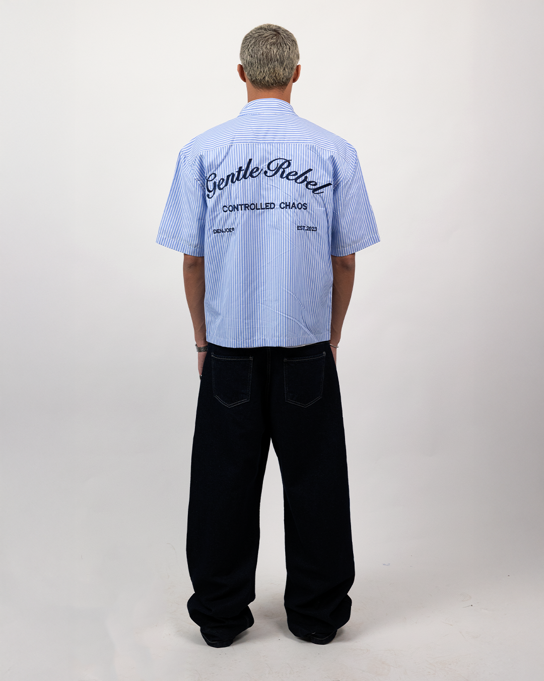 Short Sleeve Striped Shirt Boxy Fit - Skyline Blue