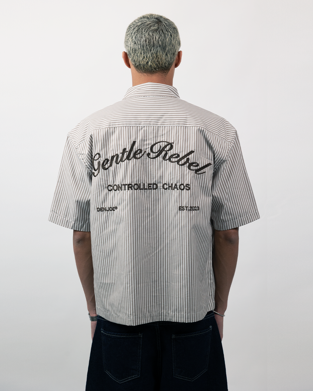 Short Sleeve Striped Shirt Boxy Fit - Beige